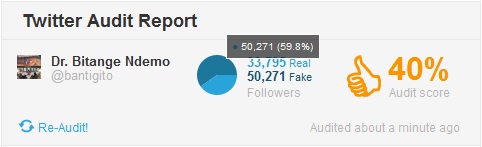 BITANGE_NDEMO_FAKE_FOLLOWERS.jpg