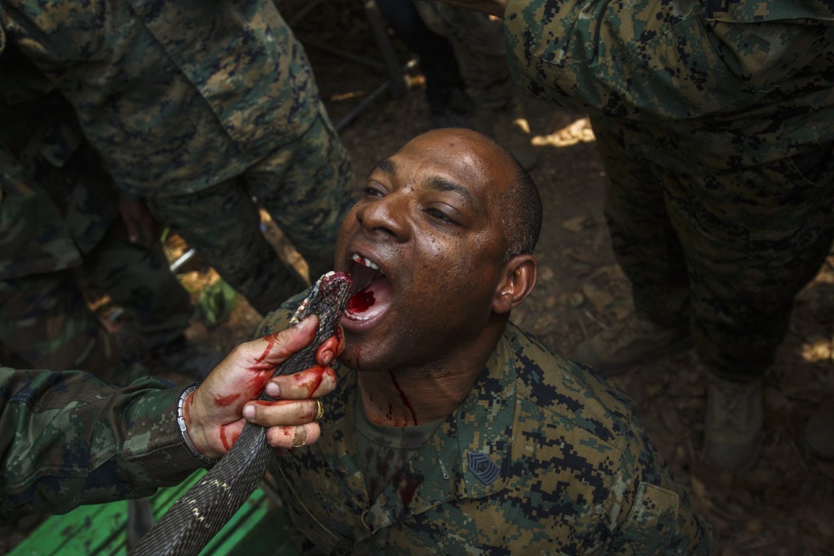 us-marines-also-take-part-in-annual-joint-drills-with-their-counterparts-in-thailand-in-opposite-climatic-extremes-during-the-jungle-survival-exercises-marines-have-the-chance-to-drink-cobra-blood