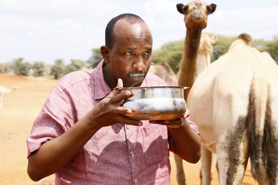 duale2.jpg