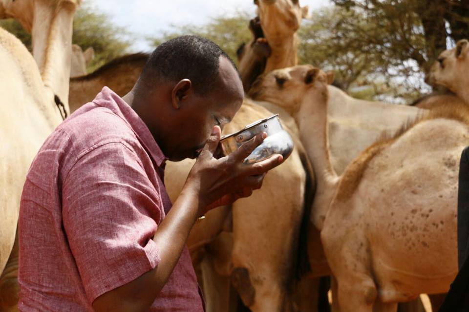 duale4.jpg