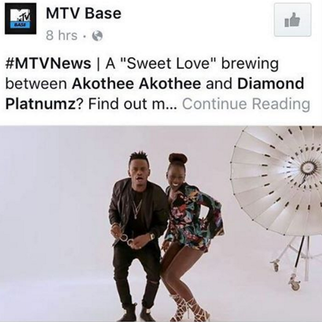 mtvbase.PNG