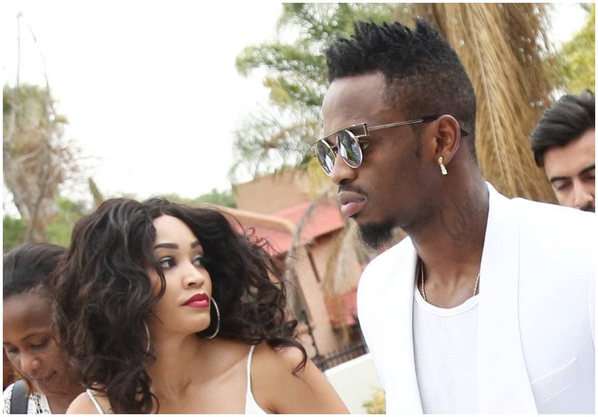 Veteran Tanzanian singer donates 5 cows for Diamond and Zari’s wedding