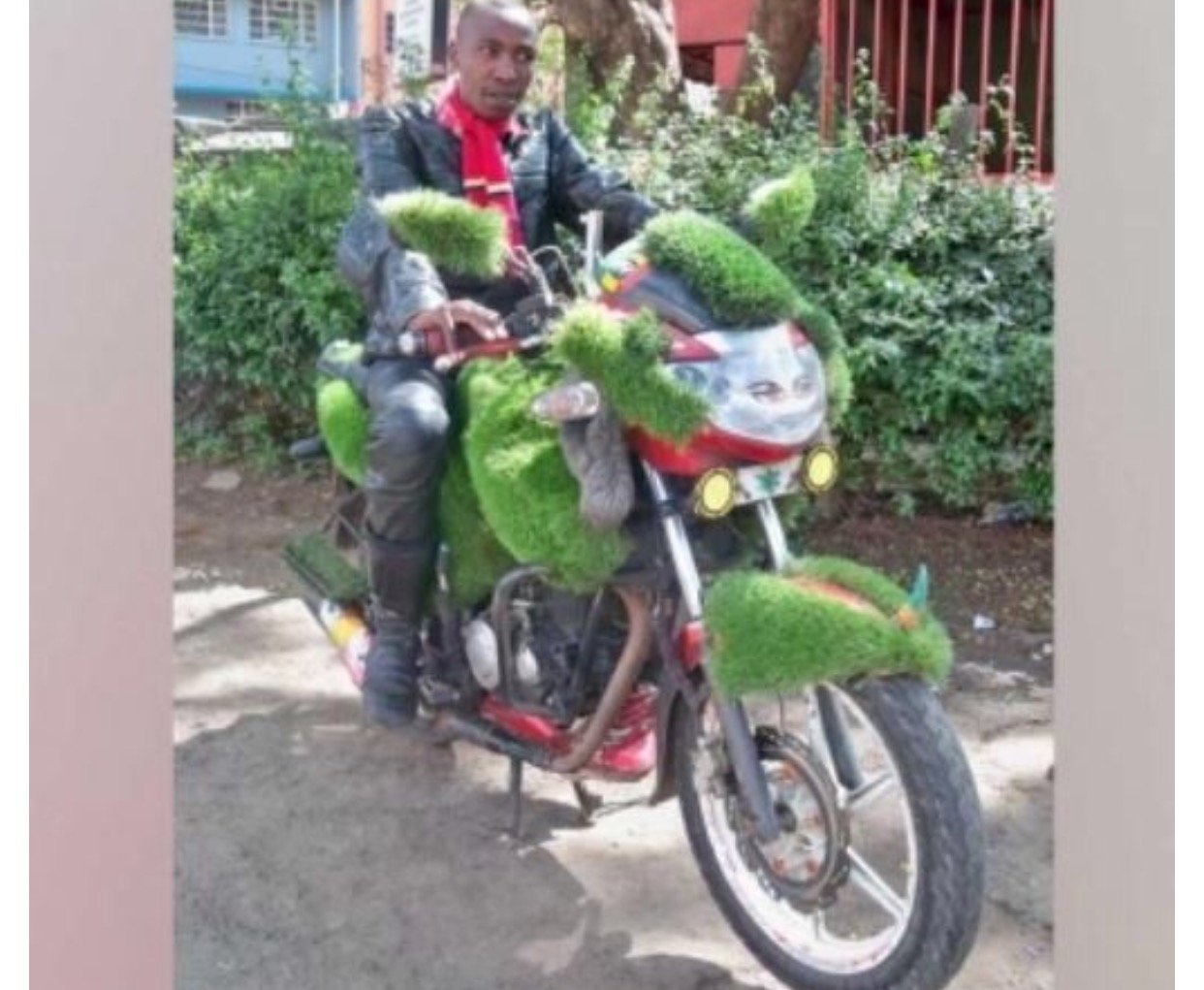 Man decorates his boda boda with grass to attract more customers, this is how much he now makes s day!