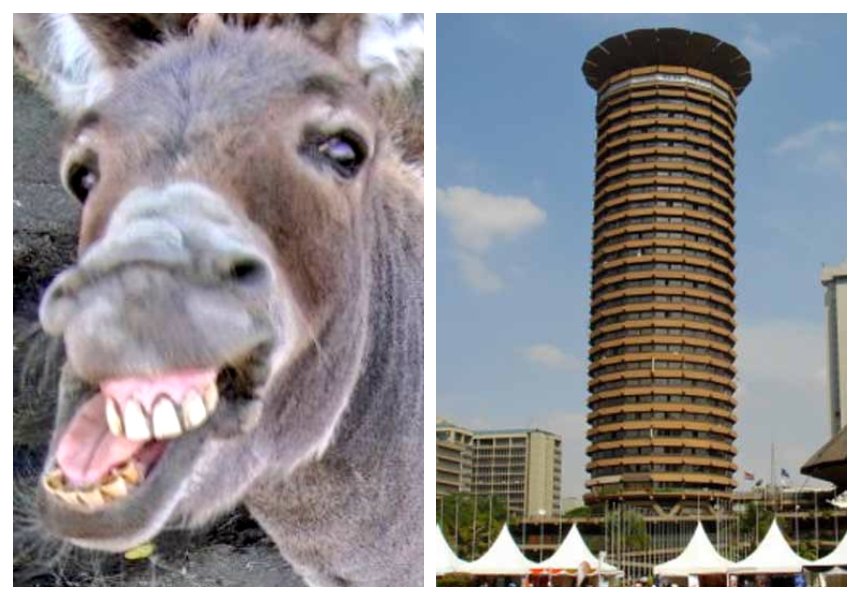 Hilarious reactions after architect reveals he was inspired by the shape of a donkey’s penis to come up with the design of KICC