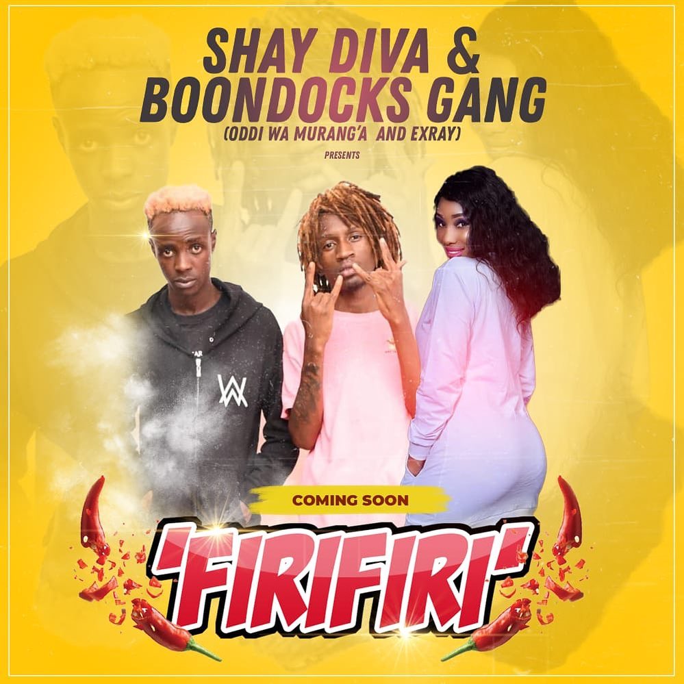 Boondocks Gang and Shay Diva on a Party tune ‘Firifiri’