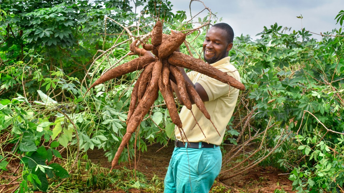 Need ideas to surprise your family this Christmas? Try a signature Cassava-themed dish!