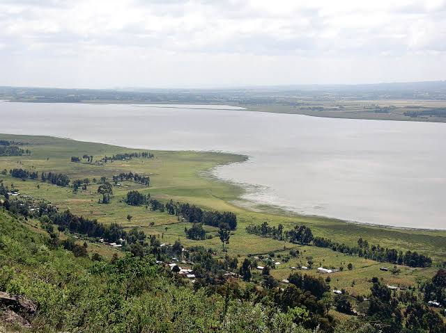 Lake Ol Bolossat, Nyandarua: Experience the Magic of Community-Led Conservation